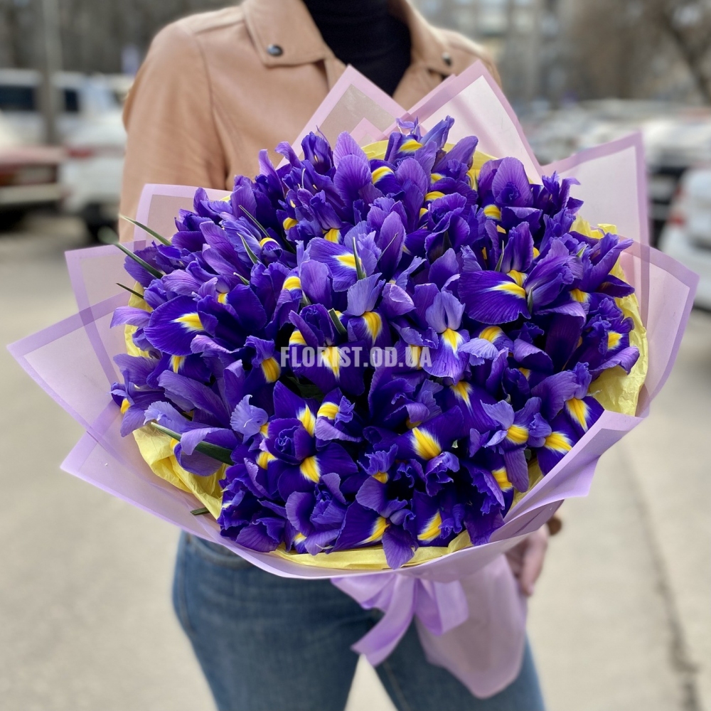 49 ирисов