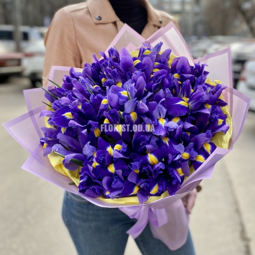 49 ирисов